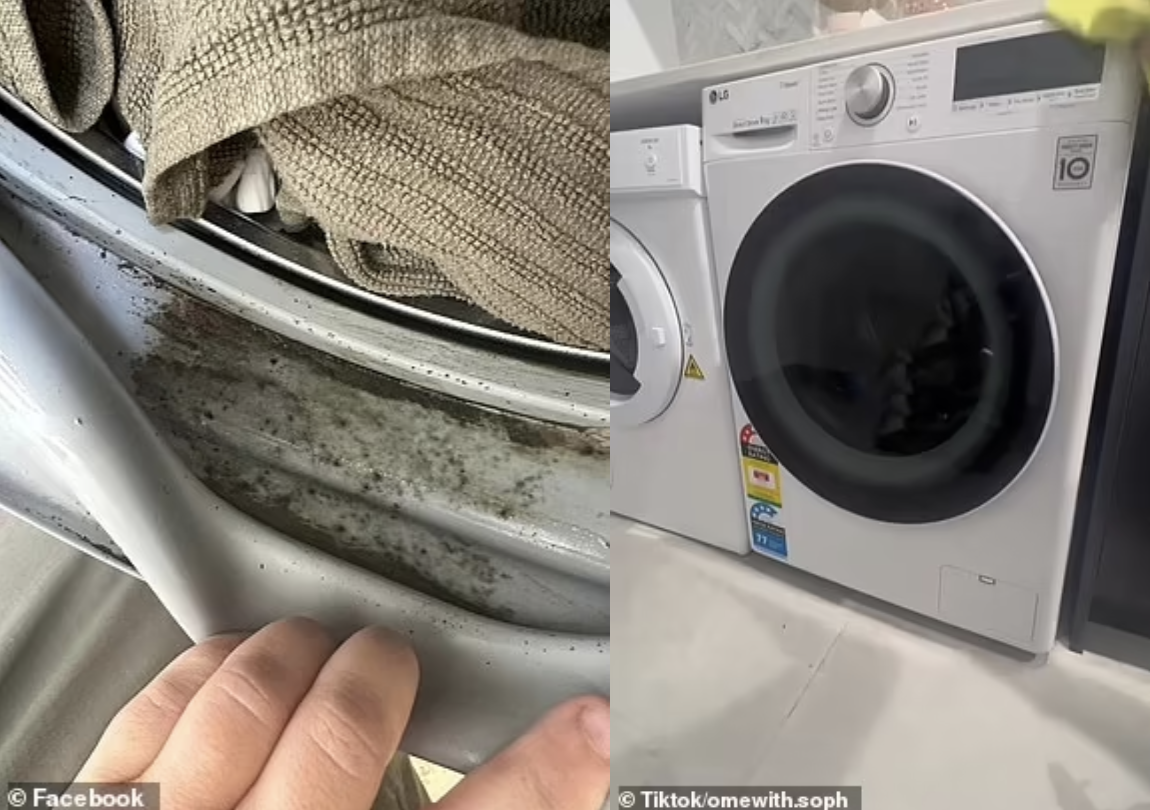 Dirty Laundry Secrets Unveiling the Hidden Cleaning Spots in Your